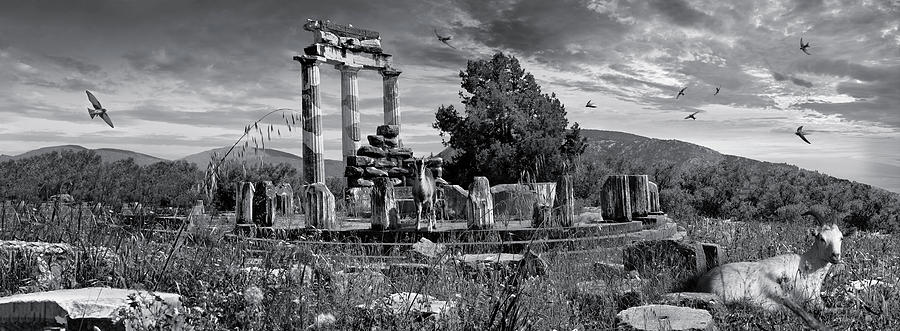Sacred Stone - Black and white photo of Delphi Tholos Photograph by Paul E Williams