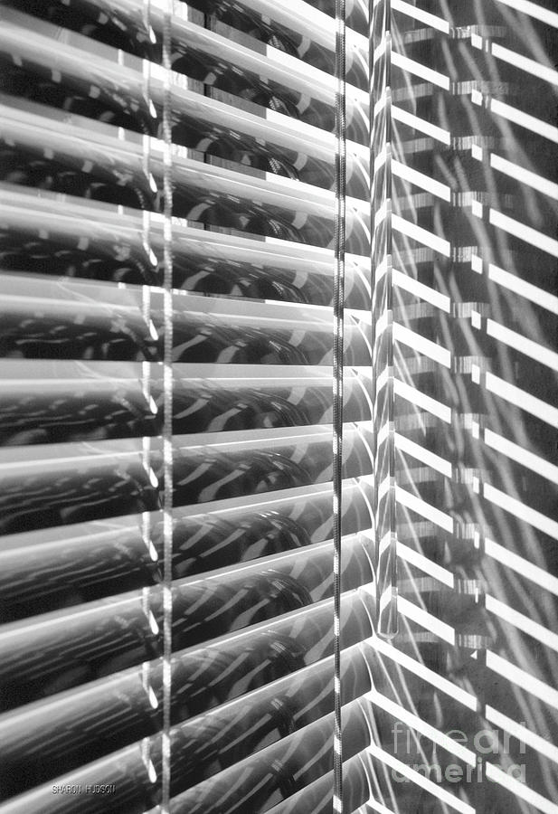 black and white photography - Venetian Blinds Photograph by Sharon Hudson