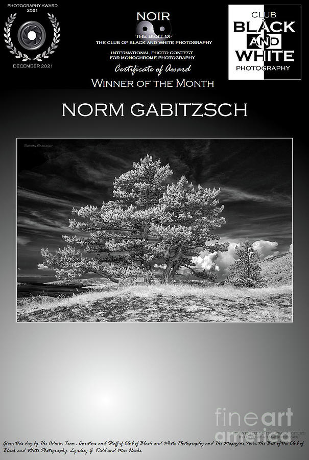 Black And White Photography Photograph by Norman Gabitzsch