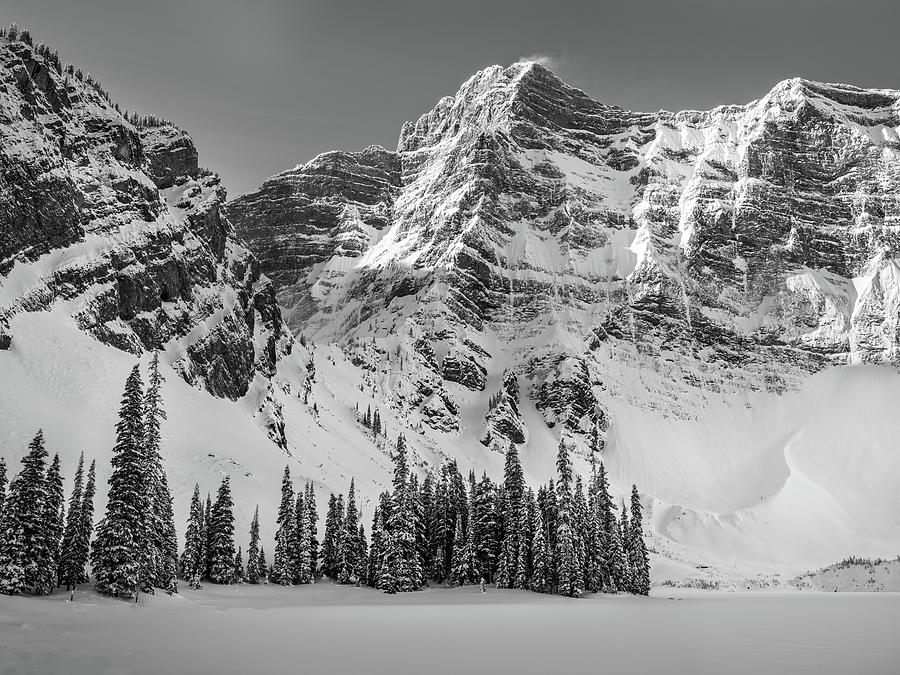 Black and White Pine Trees-Mount Rawson, Canadian Rockies Photograph by Yves Gagnon
