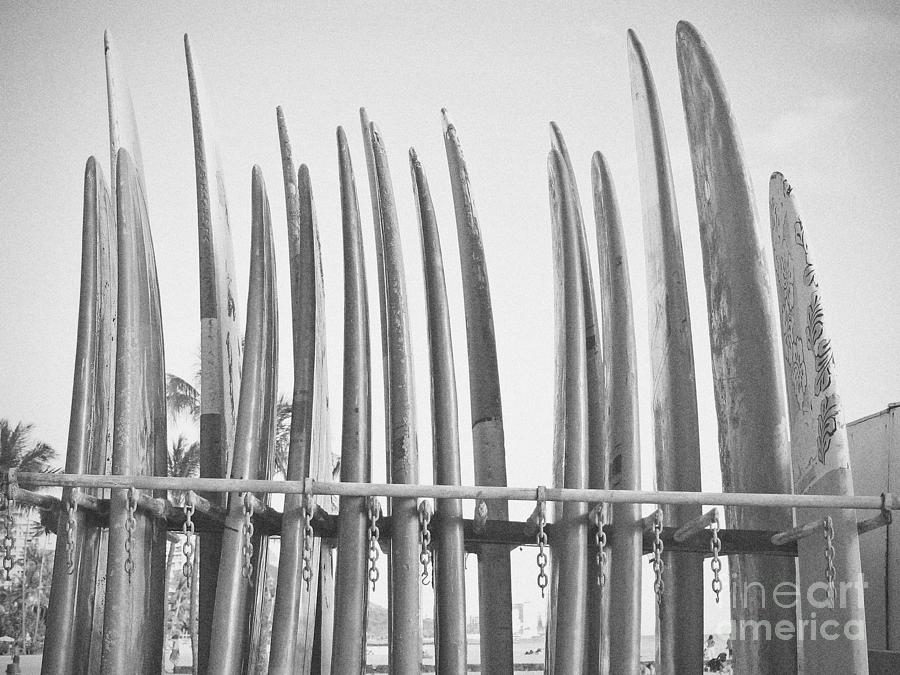 Black and White Print of Vintage Surfboards  Photograph by Paul Topp
