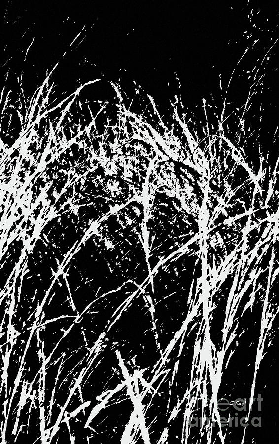 Black and White Reeds Mixed Media by Sharon Williams Eng