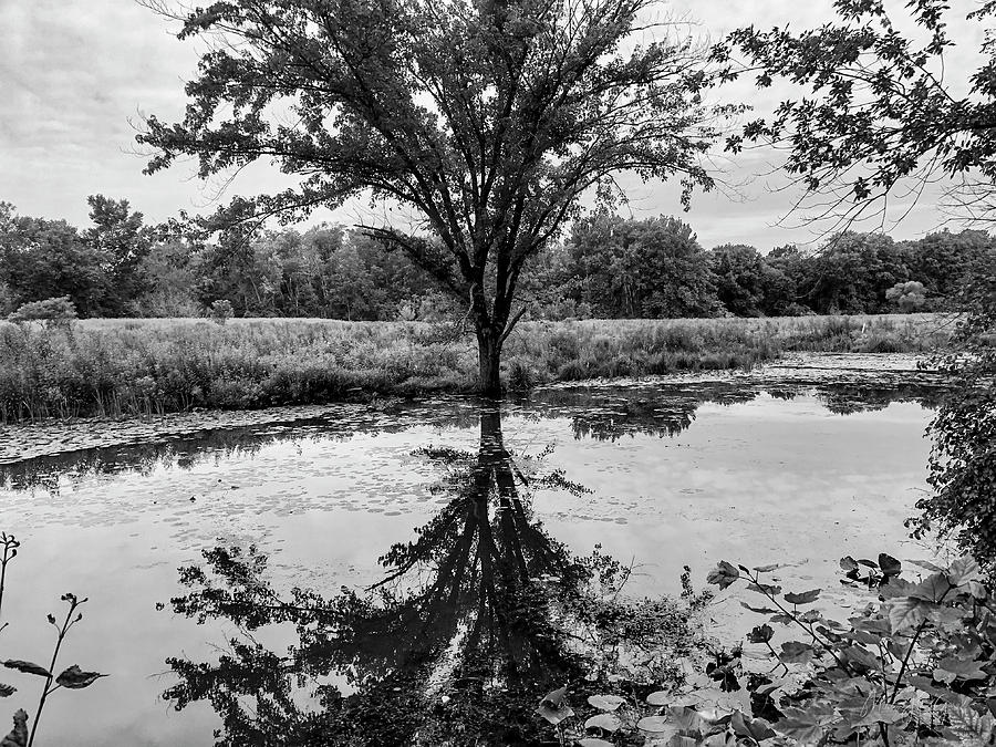 Black And White Reflections Photograph