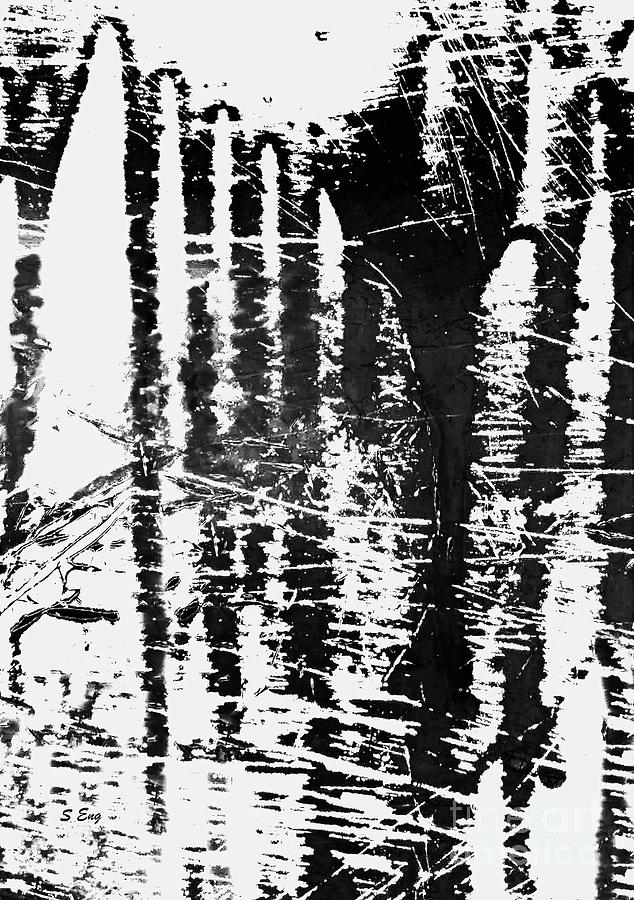 Black and White Reflections Mixed Media by Sharon Williams Eng