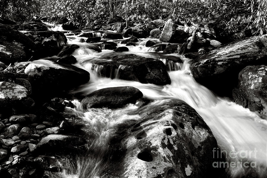Black And White River 2 Photograph by Phil Perkins