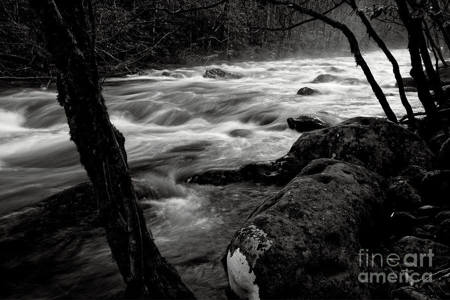 Black And White River 3 Photograph by Phil Perkins