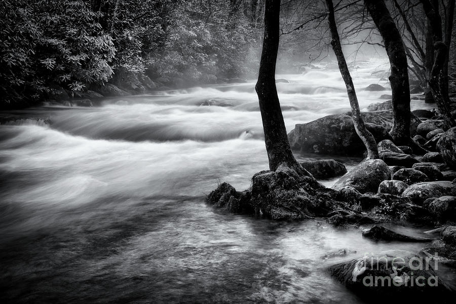 Black And White River 4 Photograph by Phil Perkins