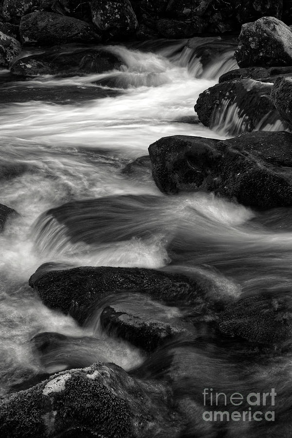 Black and White River 5 Photograph by Phil Perkins
