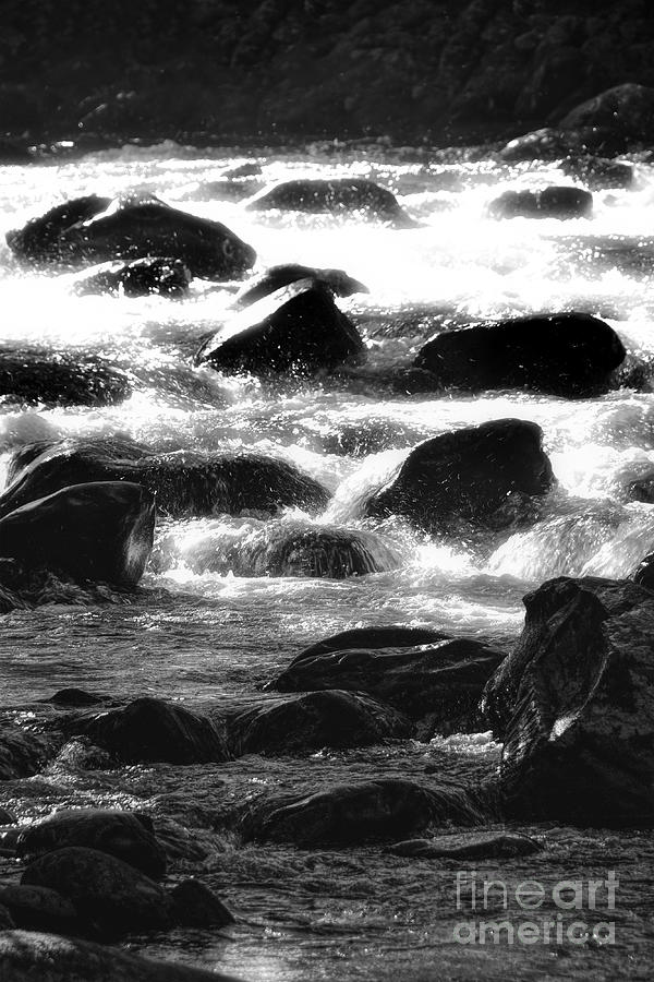 Black And White River Photograph by Phil Perkins