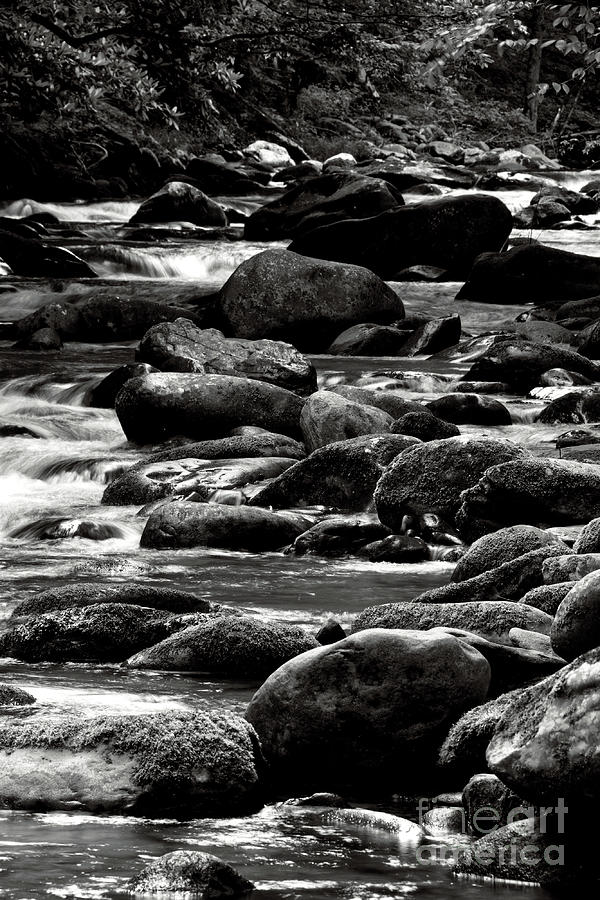 Black And White Rocky River 3 Photograph by Phil Perkins