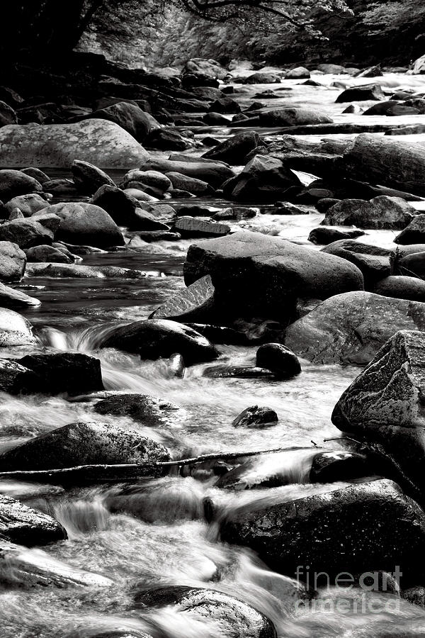 Black And White Rocky River Photograph by Phil Perkins
