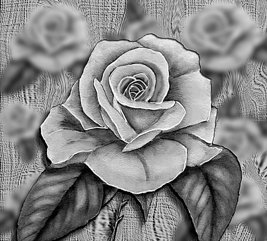 Black and White Rose - B/W Mixed Media by Kelly Mills