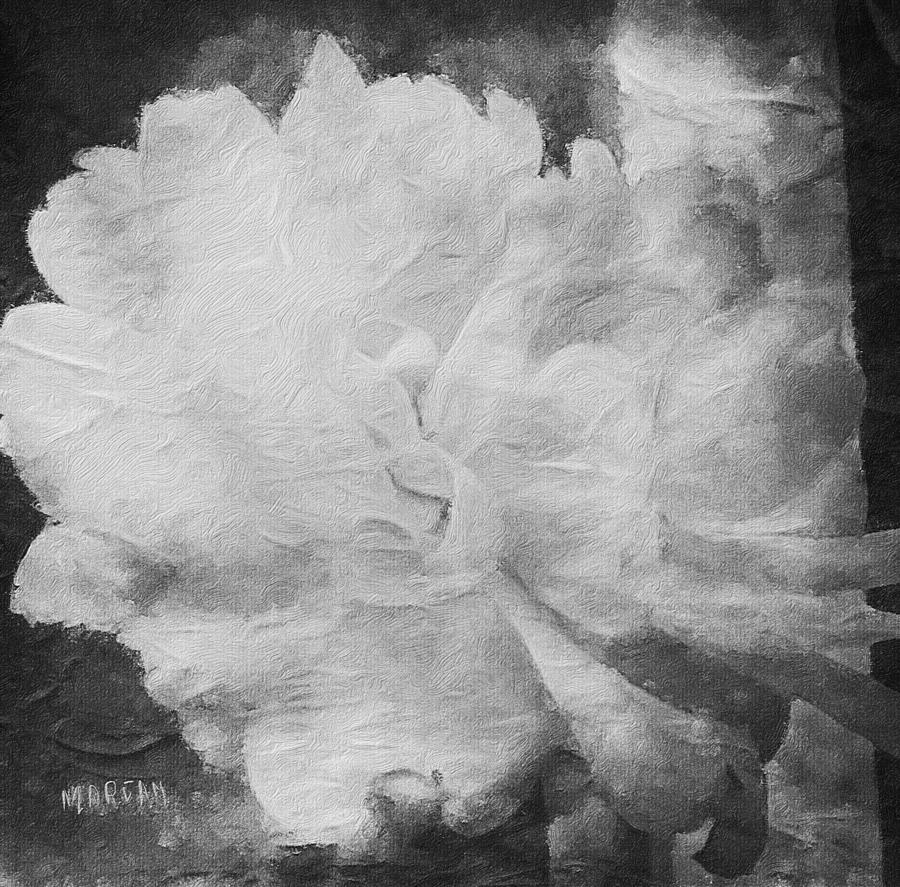 Black and White Rose  Digital Art by Mariam Bazzi