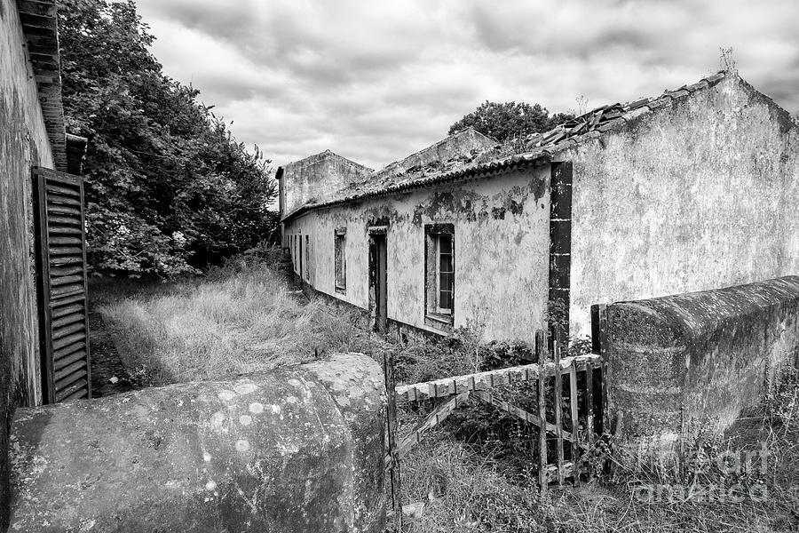 Black and White Rural Azores Photograph by Danaan Andrew - Pixels