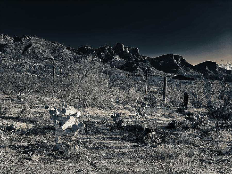 Black and White Santa Catalina Mountains, Tucson AZ Photograph by Chance Kafka