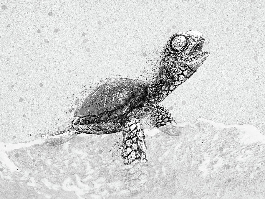 Black and White Sea Turtle on Beach  Digital Art by Pamela Williams