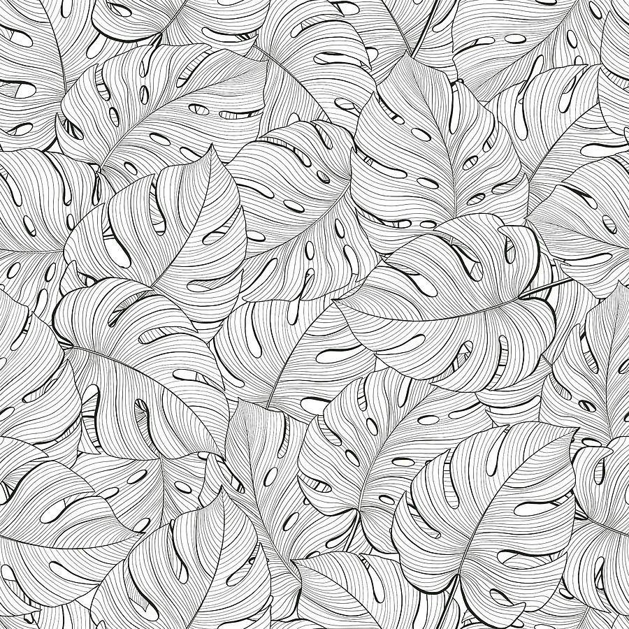 Monstera leaf line art. Contour drawing. Minimalism art. Modern decor. #Ad  , #ad, #line#art#Monstera#leaf | Contour drawing, Line art flowers, Line  art drawings