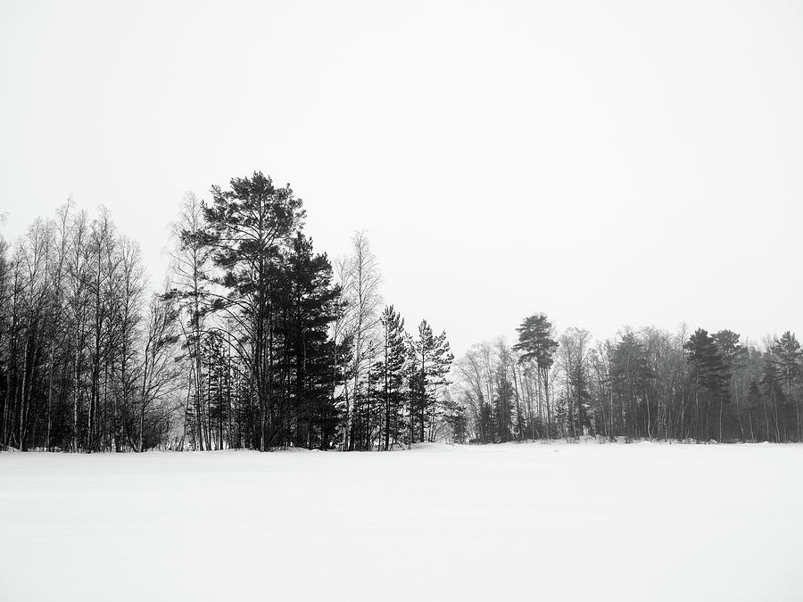 Black and white season 1. The fog is rising Photograph by Jouko Lehto