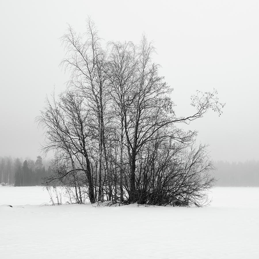 Black and white season 2. That tiny island. Photograph by Jouko Lehto