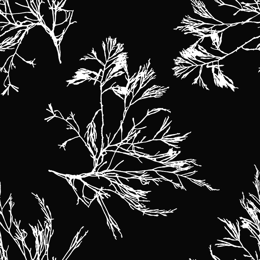 Black And White Seaweed Pattern Mixed Media by Christina Rollo