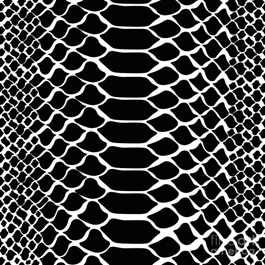 Black and white snake print Digital Art by Arkitekta Art - Fine Art America