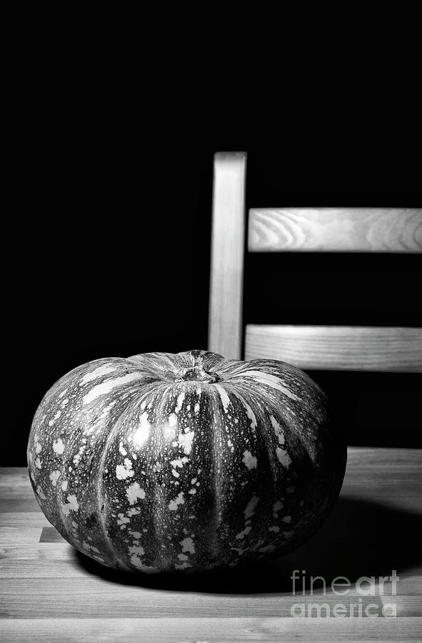 Black and white solitary pumpkin on rustic table with chair. Photograph by Milleflore Images