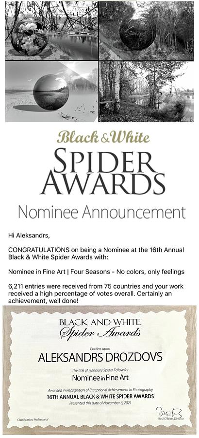Black And White Spider Awards Nominee 2021 Photograph by Aleksandrs Drozdovs