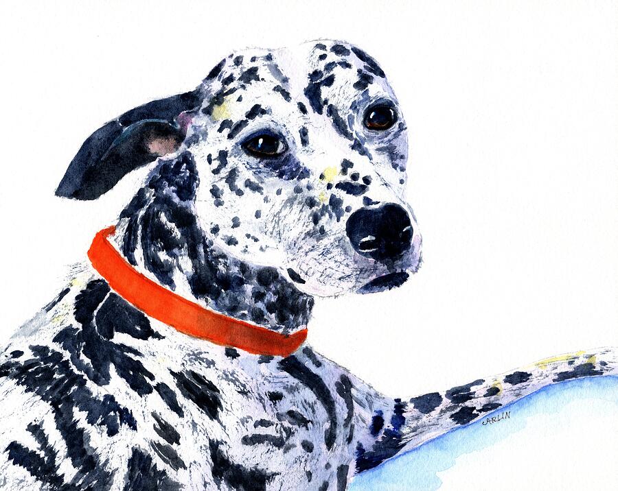Black and White Spotted Dog Painting by Carlin Blahnik CarlinArtWatercolor
