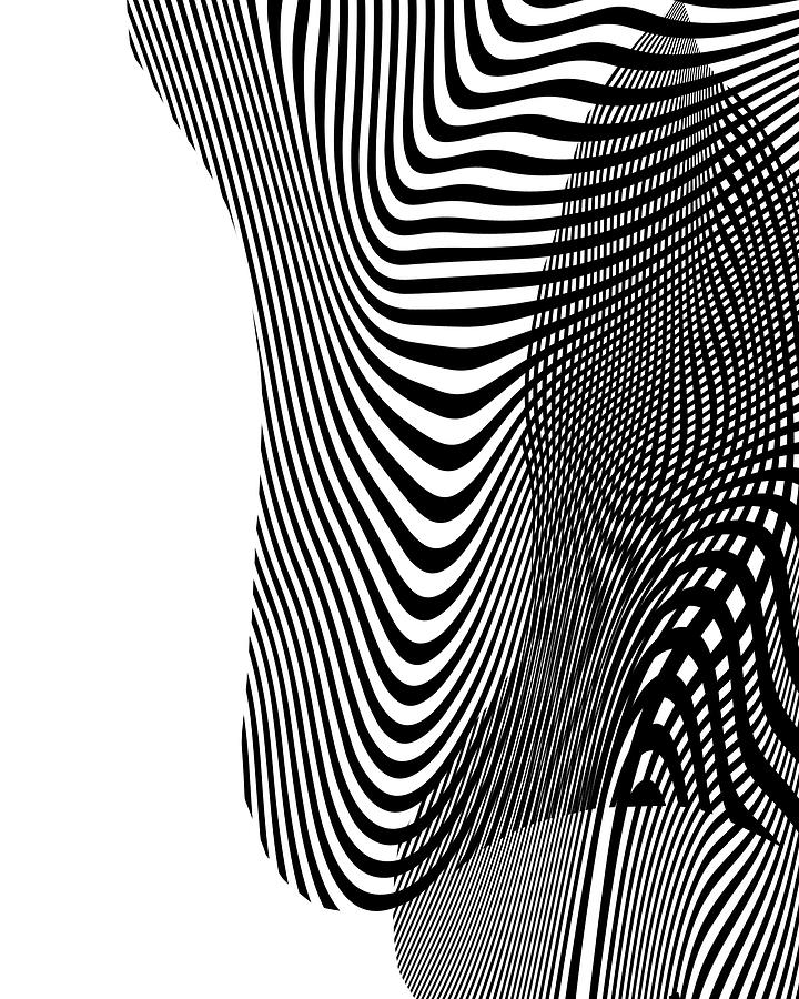 Abstract Digital Art - Black and White Stripe Fantasia by Eena Bo