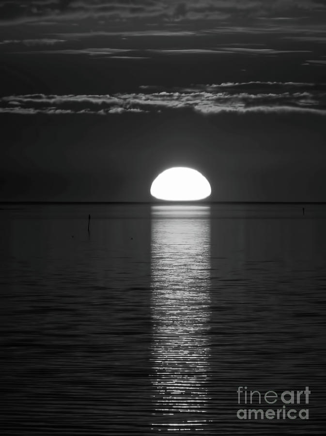 Black and White Sunset Photograph by D Hackett