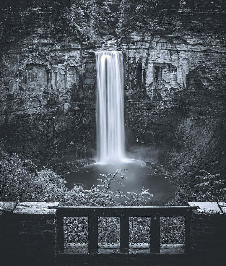 Black And White Taughannock Falls Photograph by Dan Sproul