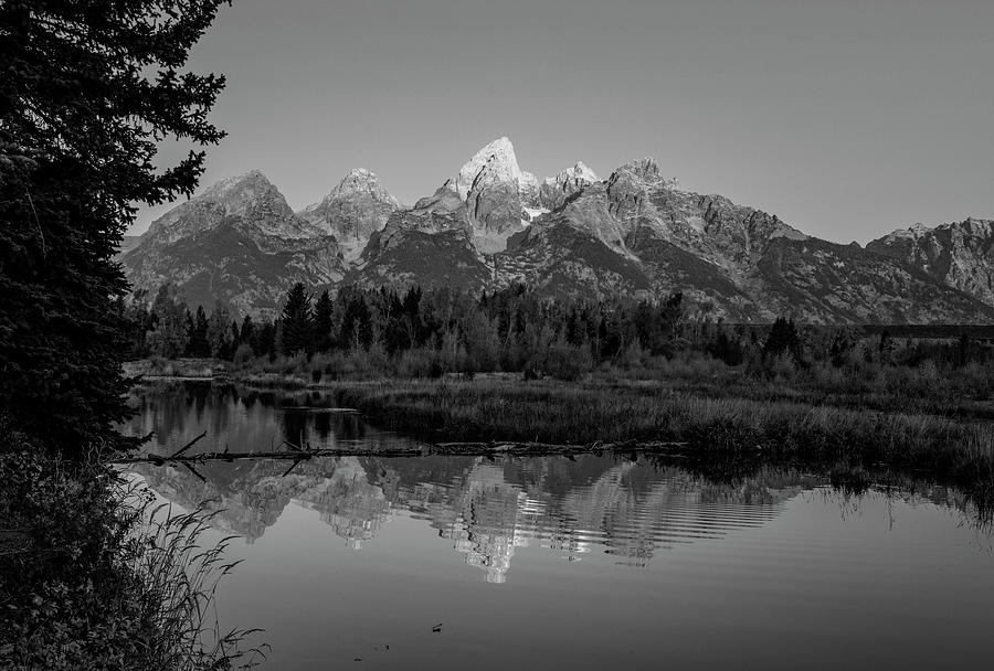 Black And White Teton Reflection Schwabachers Photograph by Dan Sproul