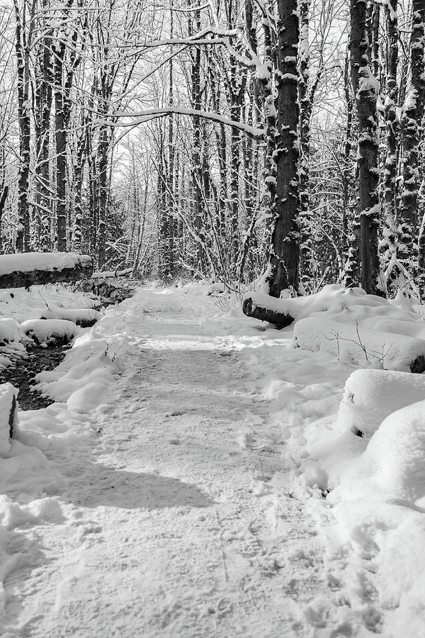 Black and White Trail Photograph by Louise Kornreich