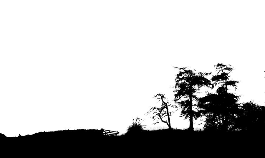 Black And White Treeline WFD Photograph by Lynne Iddon - Fine Art America