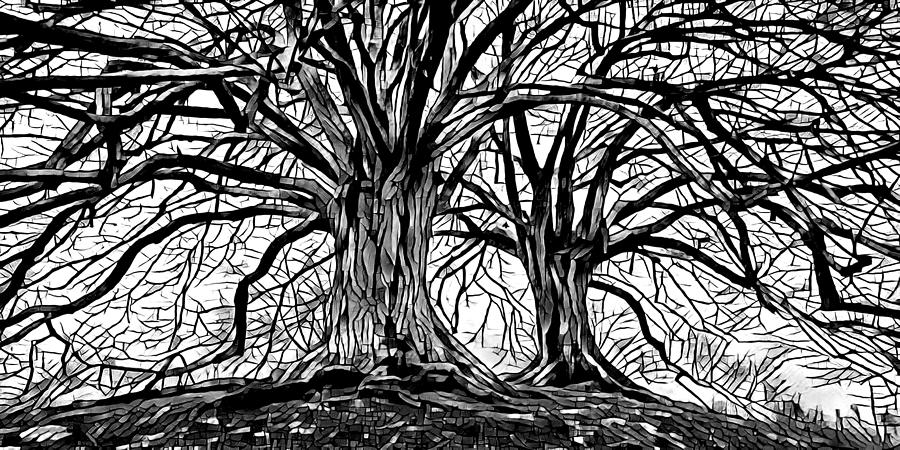 Black and white Trees Design 259 Mixed Media by Lucie Dumas