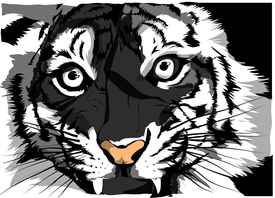 Black and white vector sketch of a tiger s face Digital Art by Dean