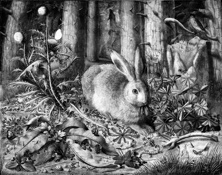 Black and White Version of A Hare in the Forest Painting by Bob Pardue