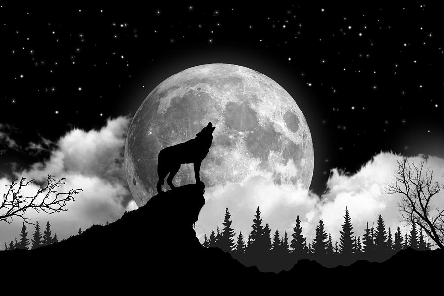 Full Moon Wolf  Draw A Wolf Howling HD Png Download  1000x9683243631   PngFind
