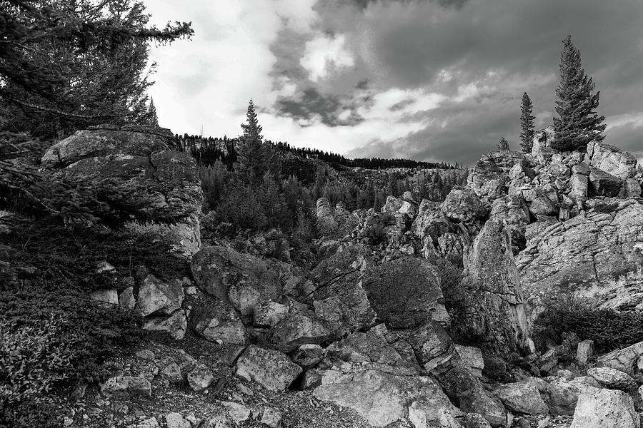 Black and white Yellowstone landscape Photograph by Jeff Swan - Fine ...