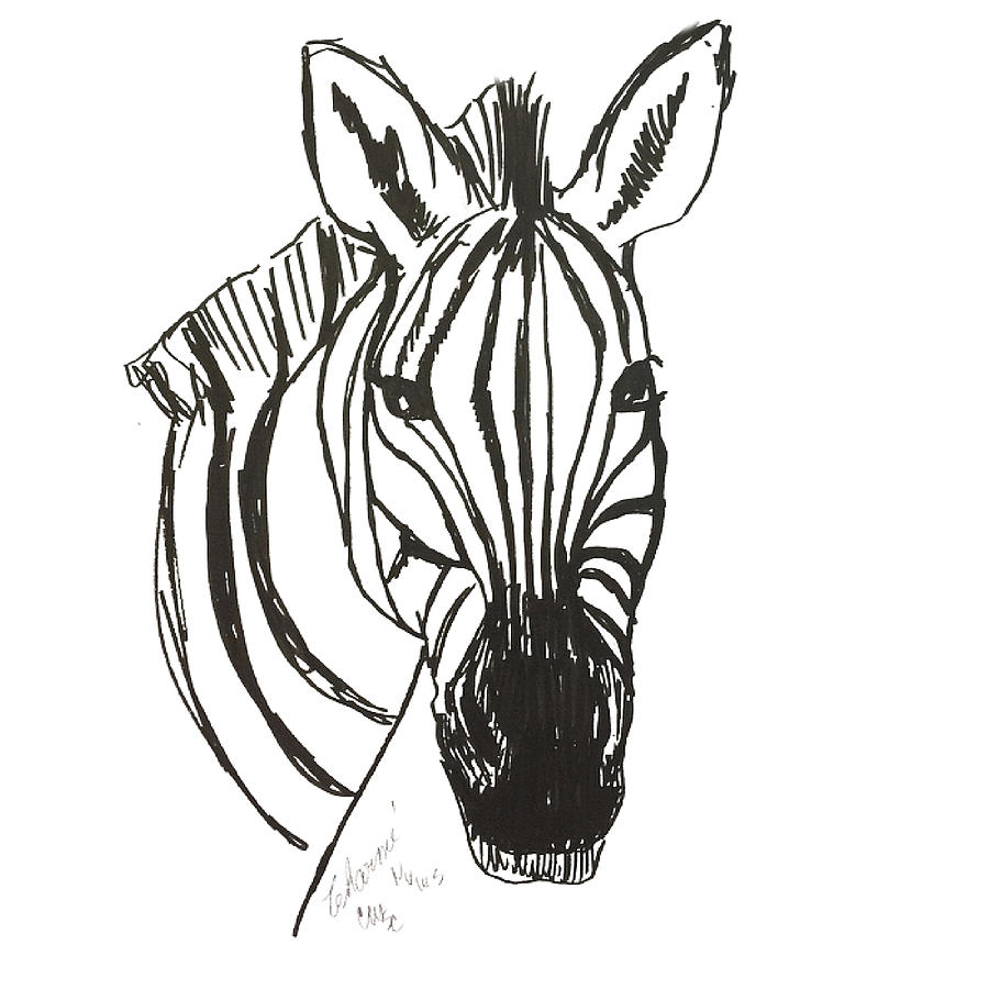 Black and White Zebra Stripes Drawing by Charme Curtin