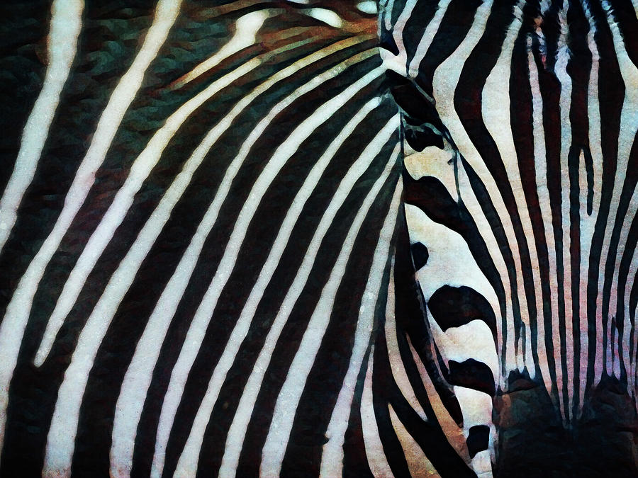 Black and White Zebra Stripes I Painting by Ashley Aldridge