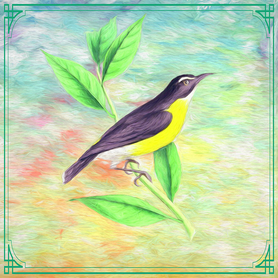 Black and Yellow Bird Square Mixed Media by Judy Vincent