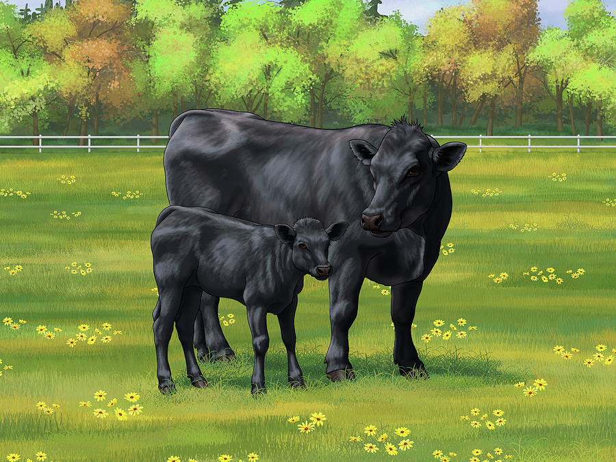 Cows Painting - Black Angus Cow and Cute Calf in Summer Pasture by Crista Forest
