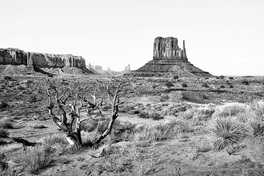 Black Arizona - Monument Valley VI Photograph by Philippe HUGONNARD