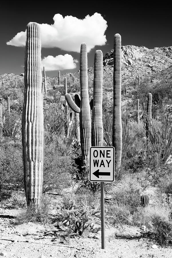 Black Arizona Series - Cactus One Way Photograph by Philippe HUGONNARD