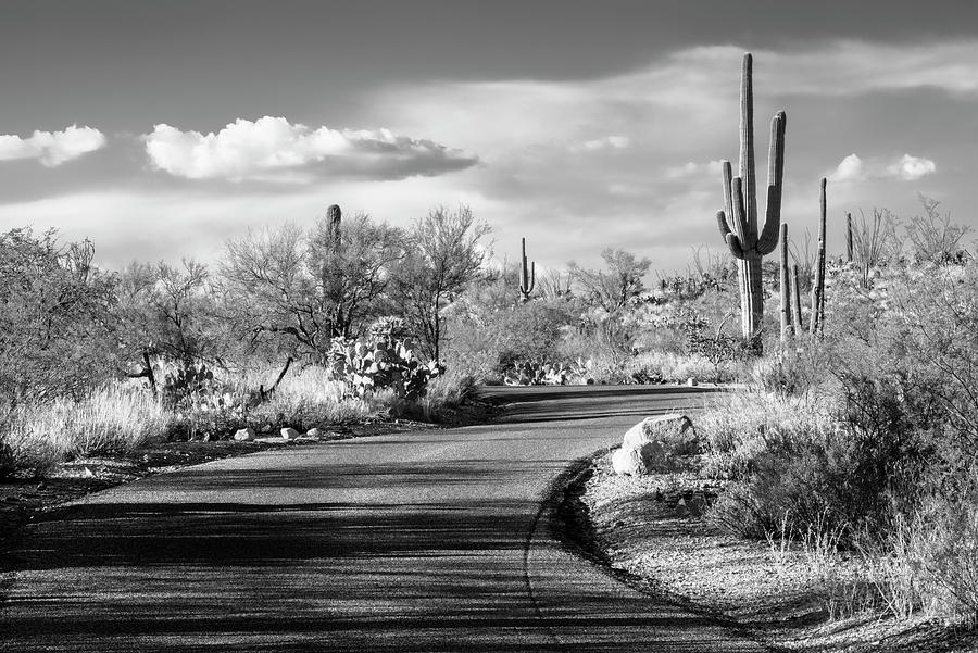 Black Arizona Series - Desert Road Photograph by Philippe HUGONNARD