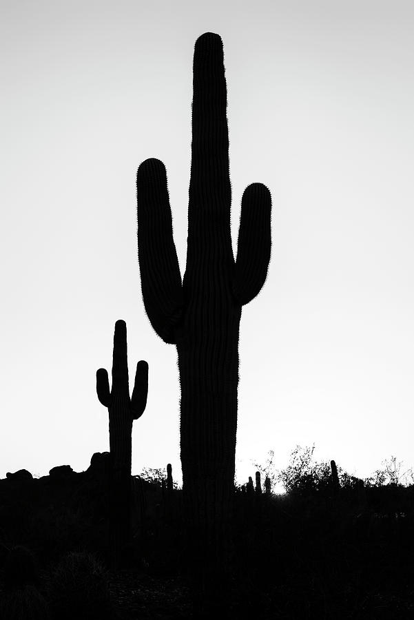 Black Arizona - Silhouettes Photograph by Philippe HUGONNARD
