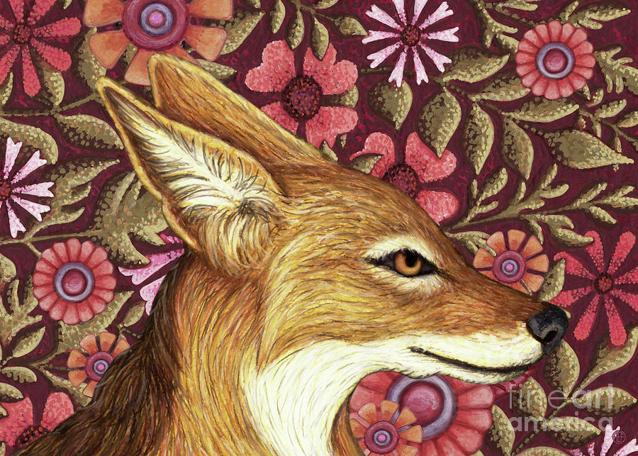 Black Backed Jackal Floral Painting by Amy E Fraser