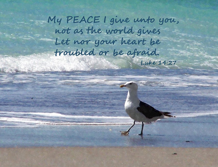 Black-Backed Seagul Strolling Down the Beach And Scripture Mixed Media by Sandi OReilly