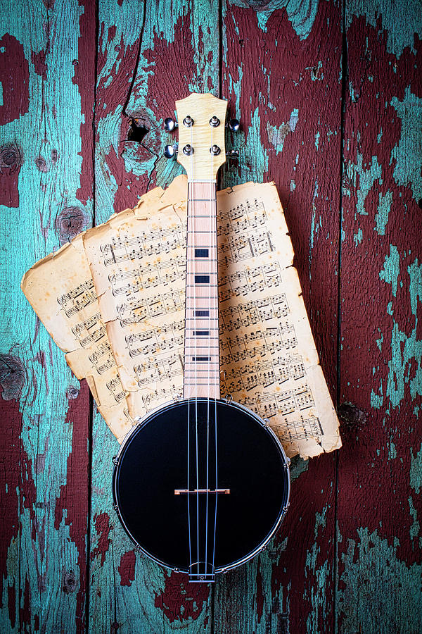 Black Banjo On Rustic Wall Photograph by Garry Gay